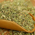 Factory price for sale quality fennel seeds fennel supplier